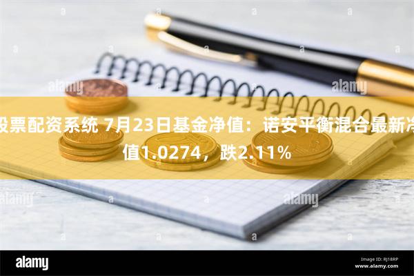 股票配资系统 7月23日基金净值：诺安平衡混合最新净值1.0274，跌2.11%