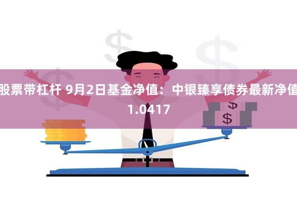 股票带杠杆 9月2日基金净值：中银臻享债券最新净值1.0417