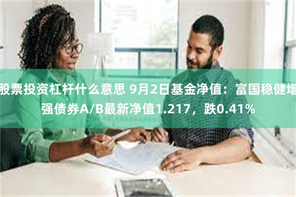 股票投资杠杆什么意思 9月2日基金净值：富国稳健增强债券A/B最新净值1.217，跌0.41%