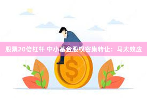 股票20倍杠杆 中小基金股权密集转让：马太效应