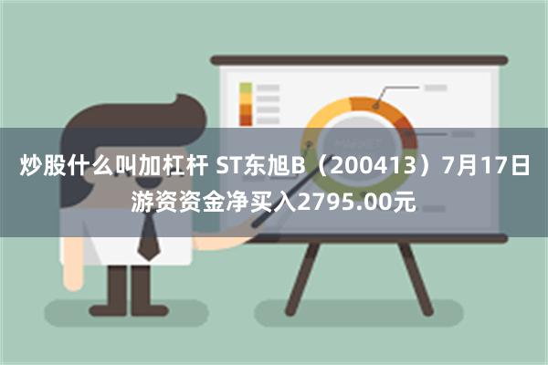 炒股什么叫加杠杆 ST东旭B（200413）7月17日游资资金净买入2795.00元