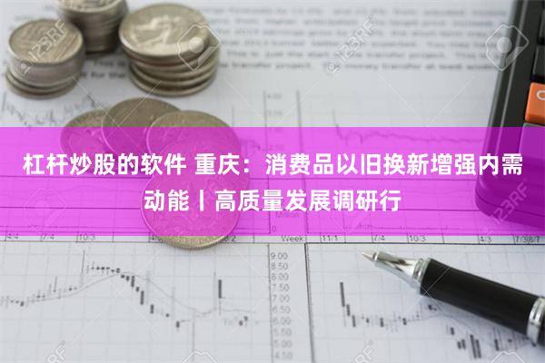 杠杆炒股的软件 重庆：消费品以旧换新增强内需动能丨高质量发展调研行