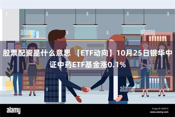 股票配资是什么意思 【ETF动向】10月25日银华中证中药ETF基金涨0.1%