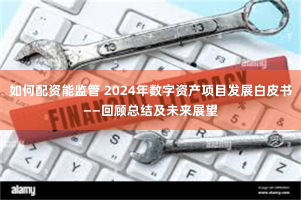 如何配资能监管 2024年数字资产项目发展白皮书——回顾总结及未来展望