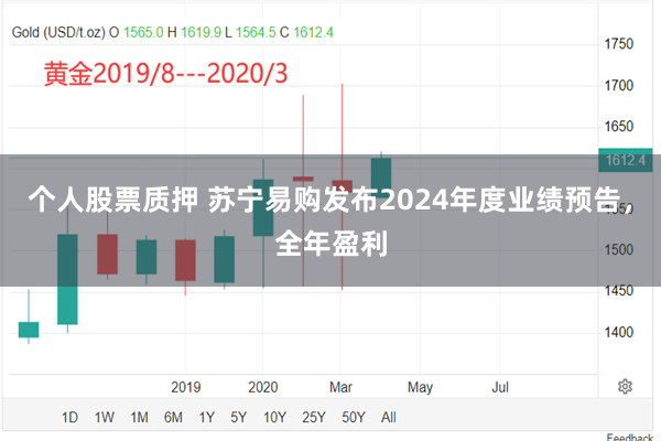 个人股票质押 苏宁易购发布2024年度业绩预告，全年盈利