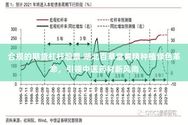 合规的期货杠杆股票 湖北百草堂黄精种植绿色革命，引领中医药材新风尚