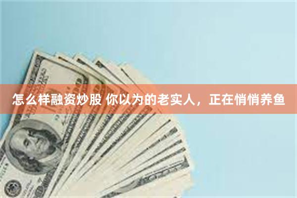 怎么样融资炒股 你以为的老实人，正在悄悄养鱼